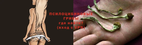 MDMA Михайловск