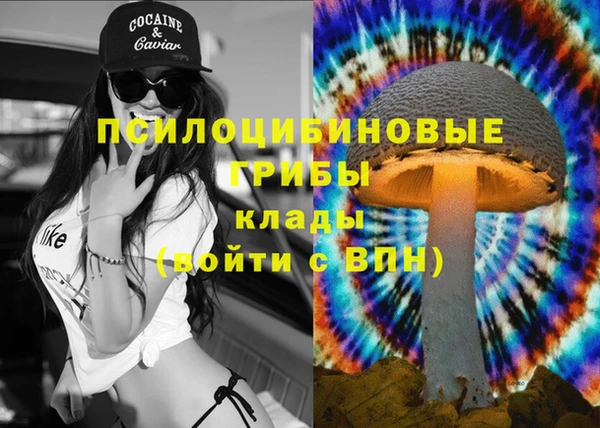 таблы Алексин