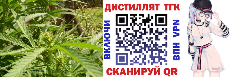 ТГК THC oil  закладка  ОМГ ОМГ ONION  Елец 